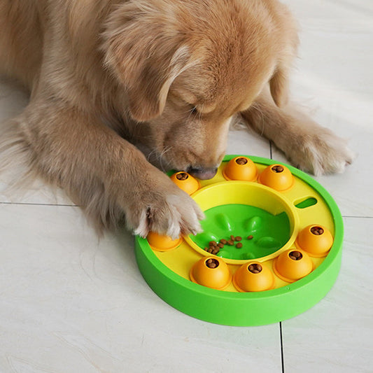 Pets Puzzle Toys - Interactive Increase Puppy IQ