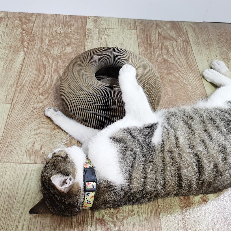 Magic Organ Cat Scratchers 2 In 1 - Shaped Cat Scratching