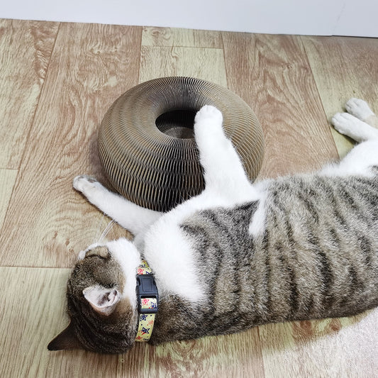 Magic Organ Cat Scratchers 2 In 1 - Shaped Cat Scratching