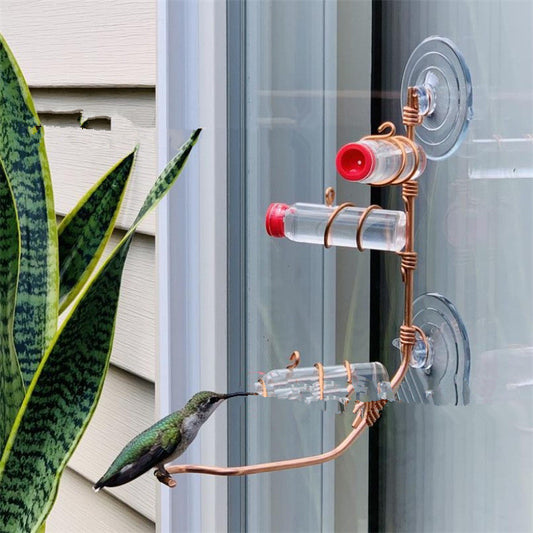 Garden Bird Feeder - Bird Feeders for Wild Birds
