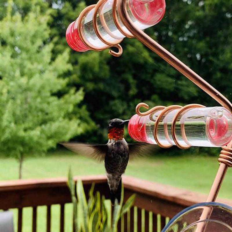 Garden Bird Feeder - Bird Feeders for Wild Birds