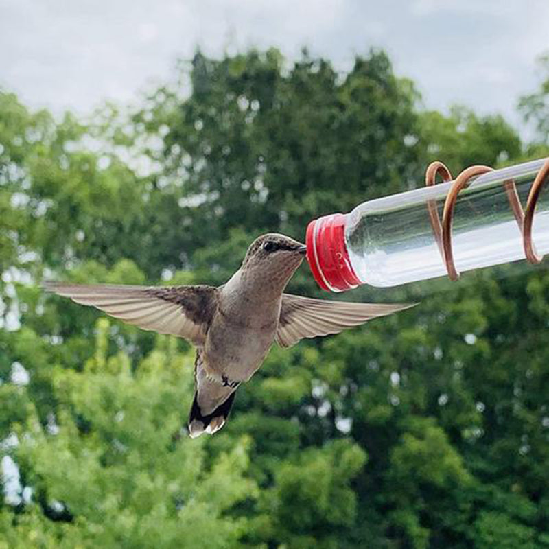 Garden Bird Feeder - Bird Feeders for Wild Birds