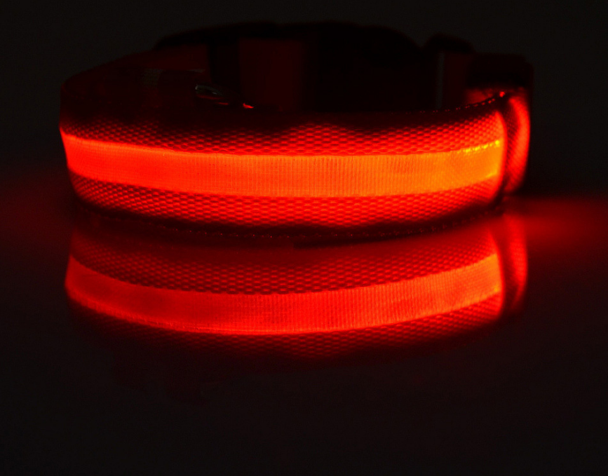 LED Pet Luminous Collar - Night Safety Flashing Glow