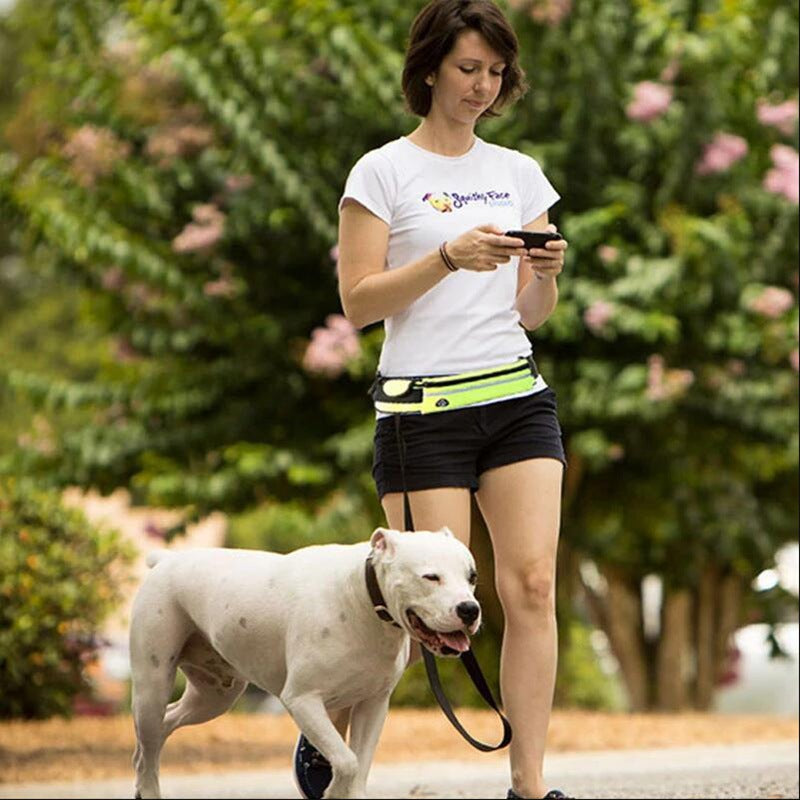 Hands Free Dog Leash - Pet Walking And Training Belt