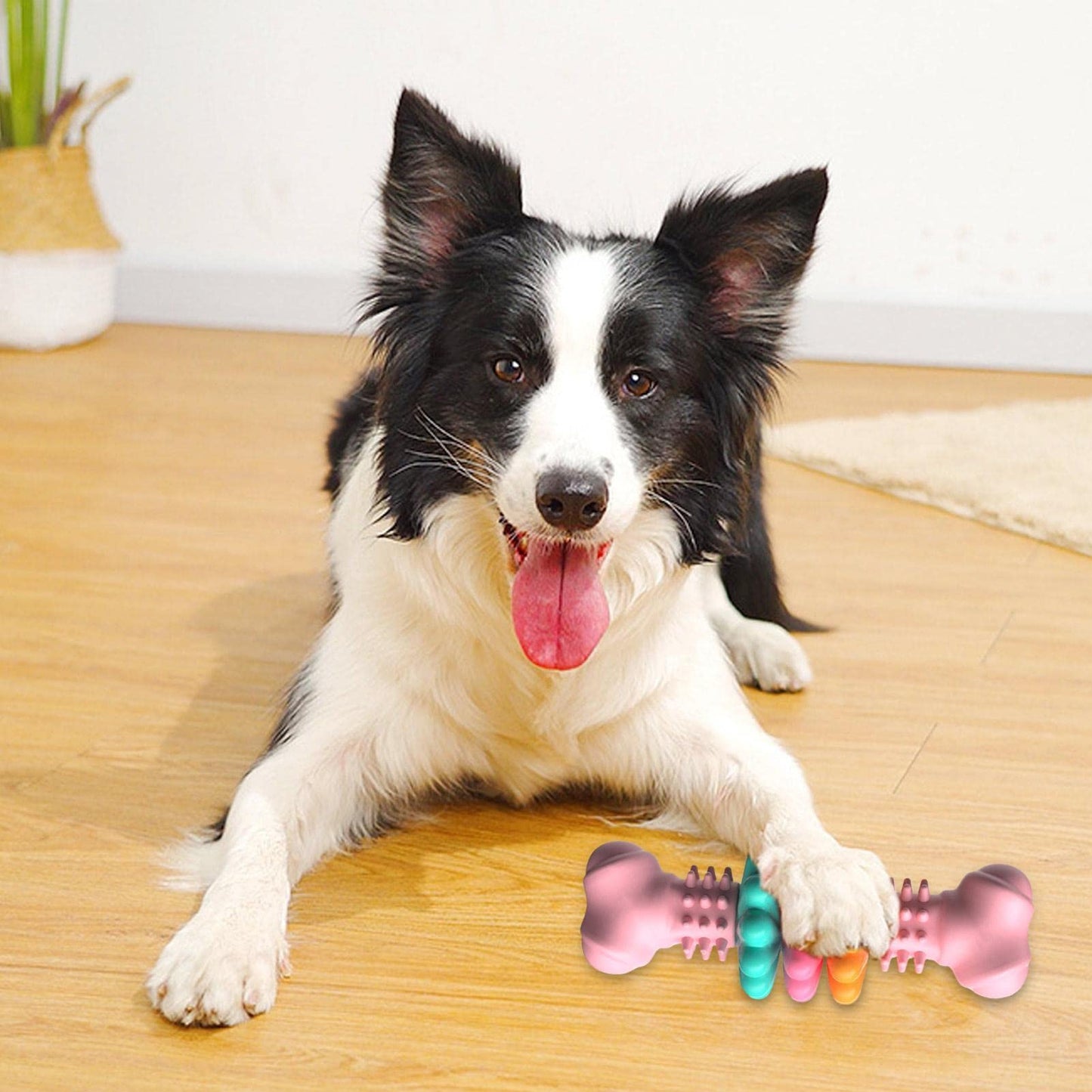 Dog Chew Toy Dog - Teeth Cleaning Toys Indestructible