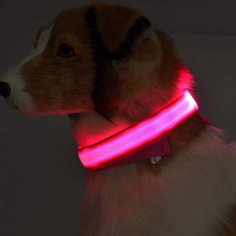 LED Pet Luminous Collar - Night Safety Flashing Glow