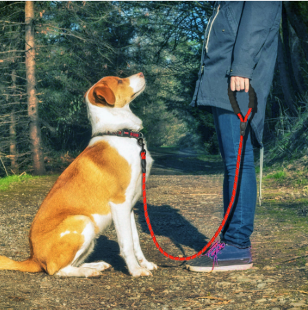 Reflective Dog Leash - Nylon Pet Dog Leash - Rope For Dogs Walking Training