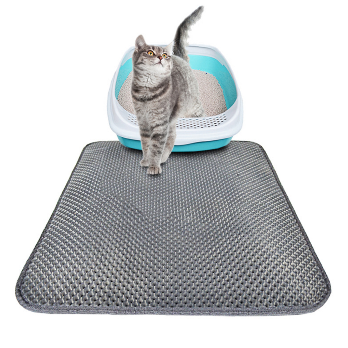 Double Layer Litter Cat - Bed Pads Pet Cat Litter Mat