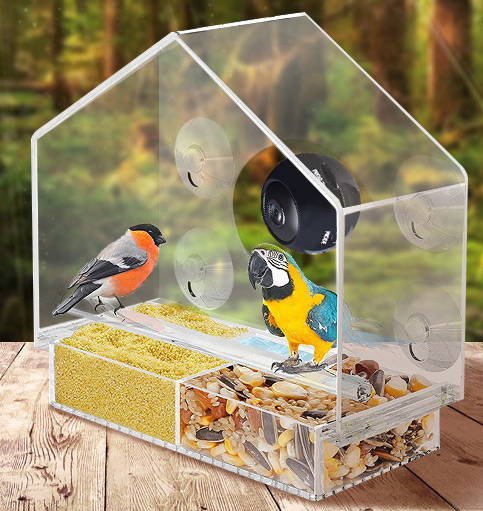 Camera Live Bird Feeder Cam Bird - Smart Bird Feeder With Camera