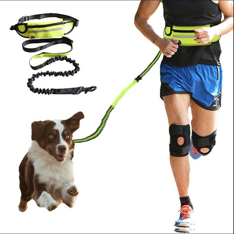 Hands Free Dog Leash - Pet Walking And Training Belt