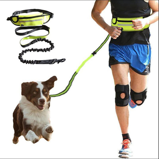 Hands Free Dog Leash - Pet Walking And Training Belt