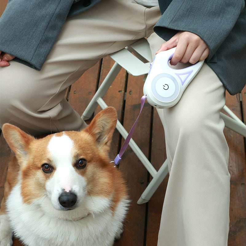Retractable Leash And Dog Collar Spotlight - Automatic Pet Dog Cat Traction Rope