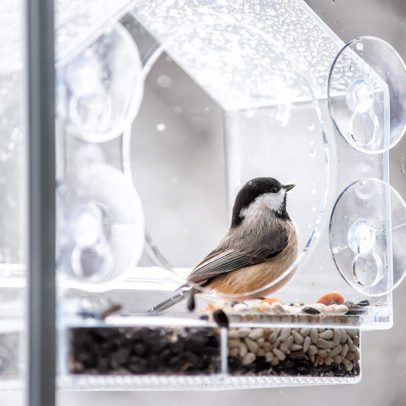 Camera Live Bird Feeder Cam Bird - Smart Bird Feeder With Camera
