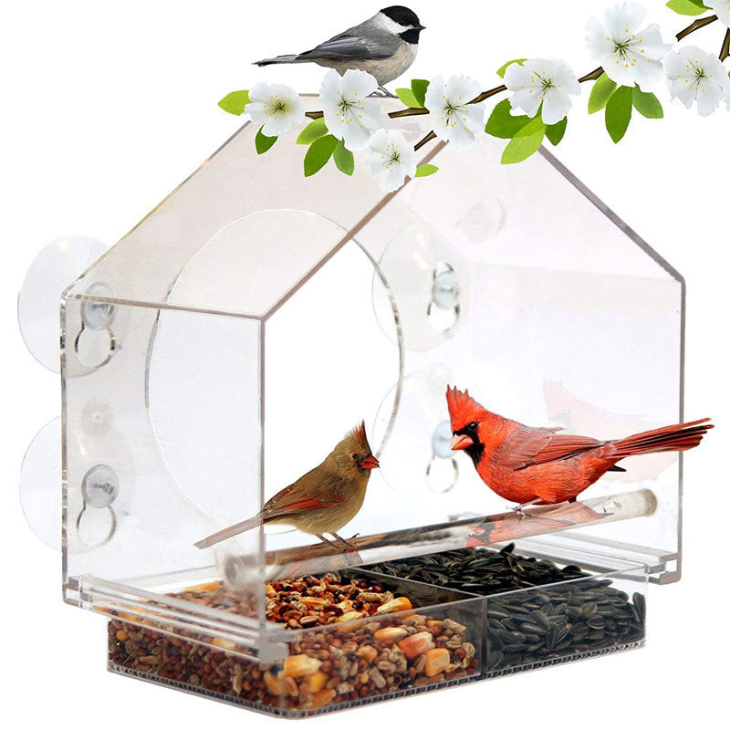 Camera Live Bird Feeder Cam Bird - Smart Bird Feeder With Camera