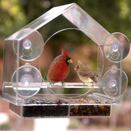 Camera Live Bird Feeder Cam Bird - Smart Bird Feeder With Camera
