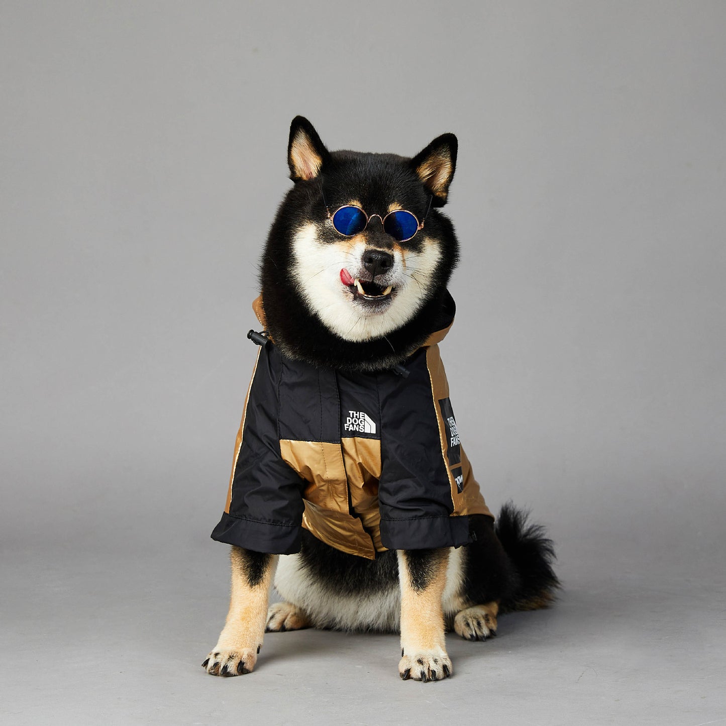 Coat Large Cold - Raincoat Pet Jacket