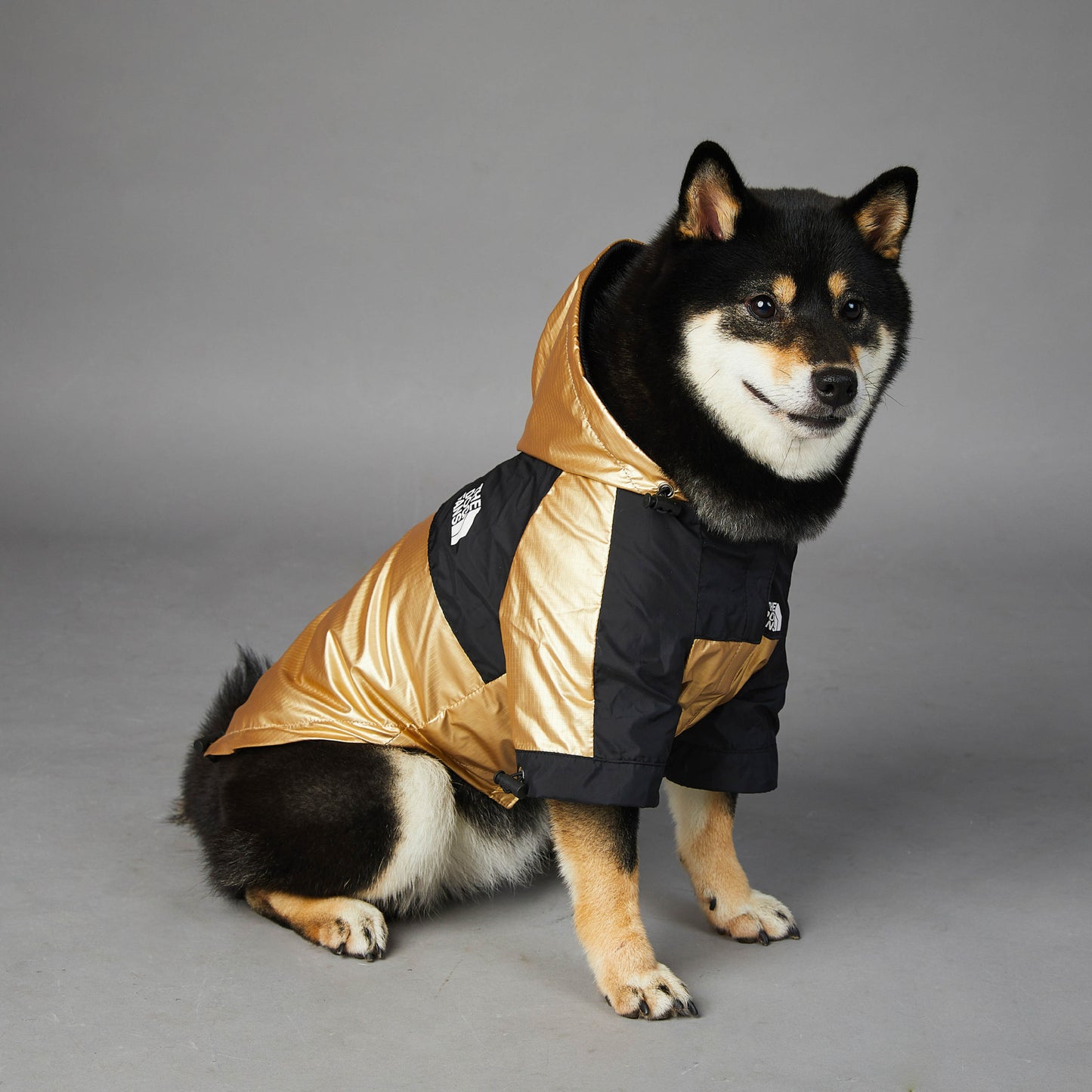 Coat Large Cold - Raincoat Pet Jacket