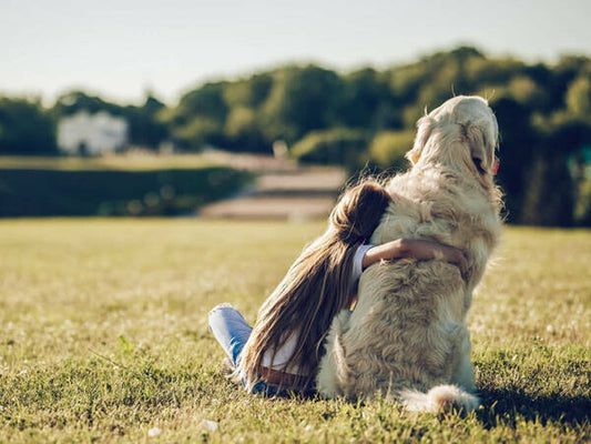 The Importance of Gratitude for Our Furry Companions