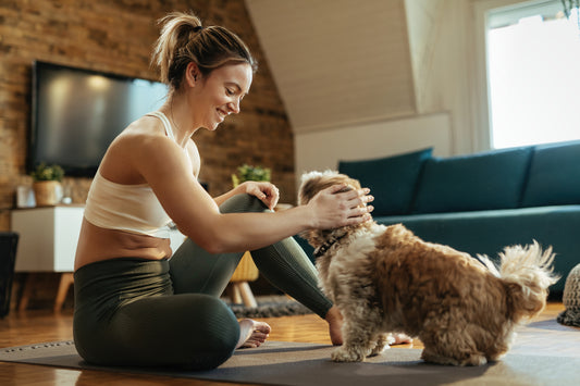 How to Keep Your Pet Healthy and Happy