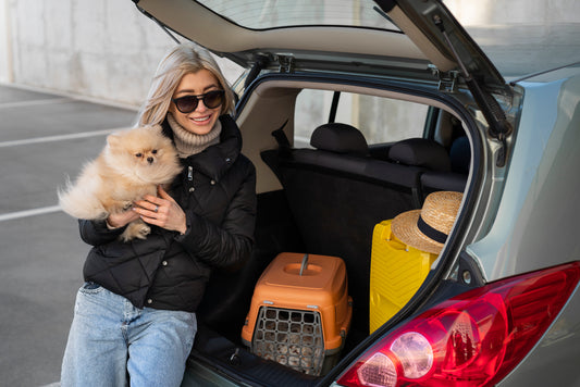 Traveling with Your Pet: Tips and Advice